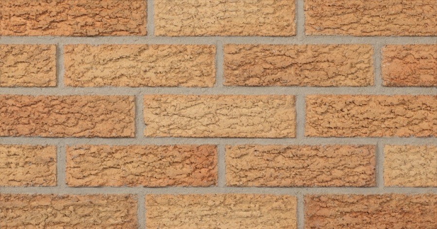 Concord Bark