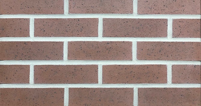 Cinnamon Ironspot