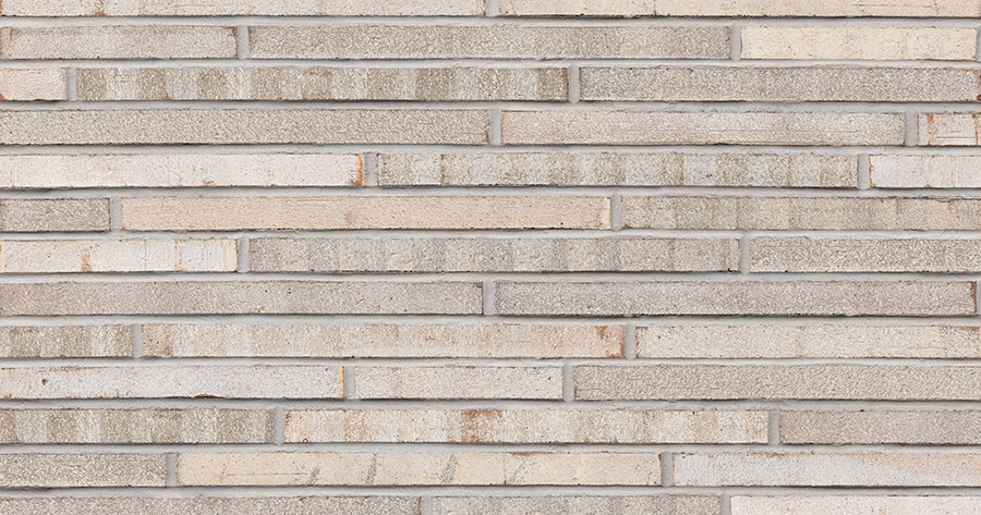 Columbia Roman Maximus