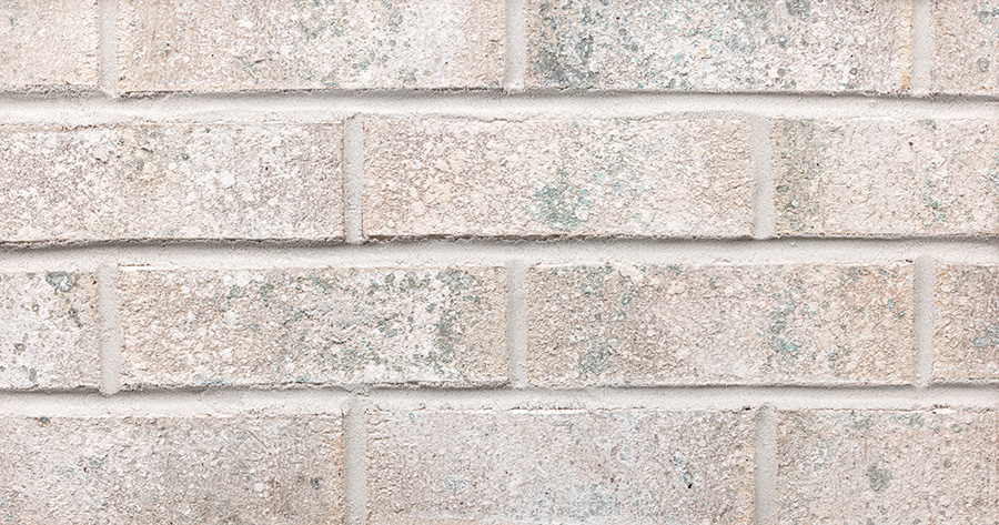 casablanca in builders special size