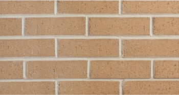 Dolomite Grey Bricks (W181) | Wirecut Finish | Glen-Gery