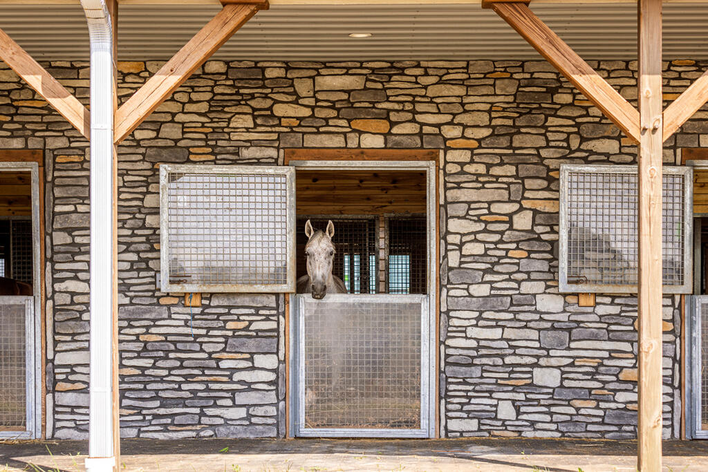 Any Day Horse Farm