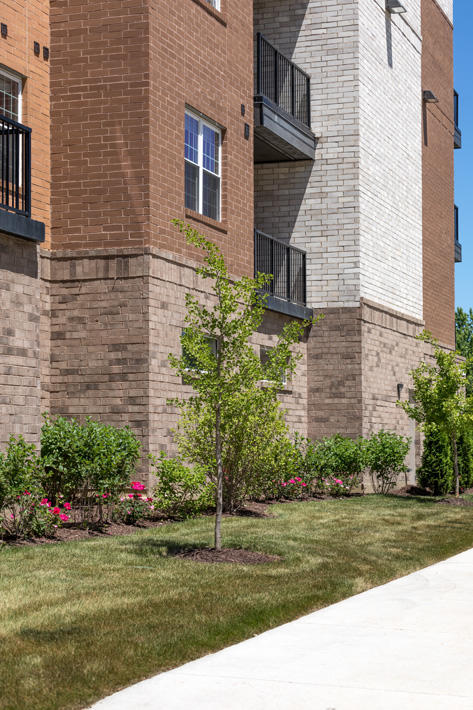 Queens of Park Place Apartments