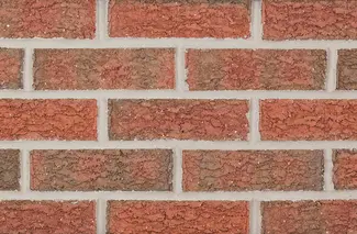 Bark Flashed