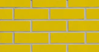 Mustard Glazed