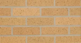 Butternut Velour
